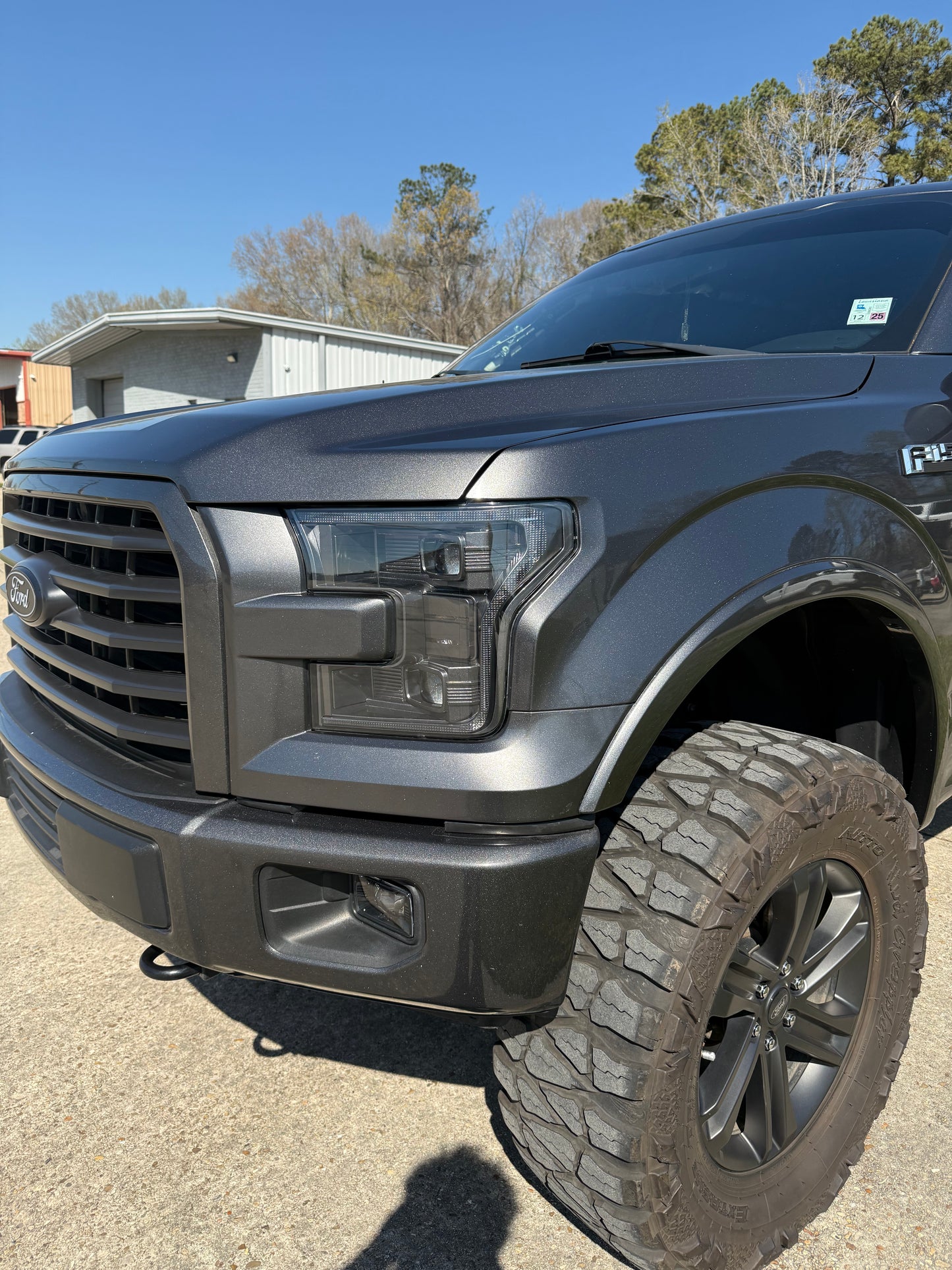 15-17 f150 colormatched morimoto hybrids